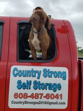 Big, Friendly Dog in Pickup Truck with Country Strong Self Storage sign on truck door